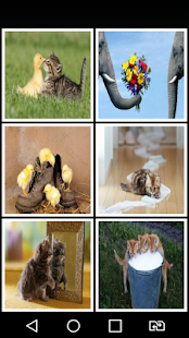 How to get Funny Animal Wallpaper HD 1.0 unlimited apk for pc