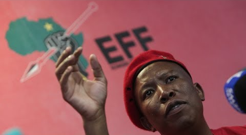 EFF leader Julius Malema and his party are unlikely to meet media representatives until next year due to a "very tight" schedule ahead of the elections in May 2019. File photo.
