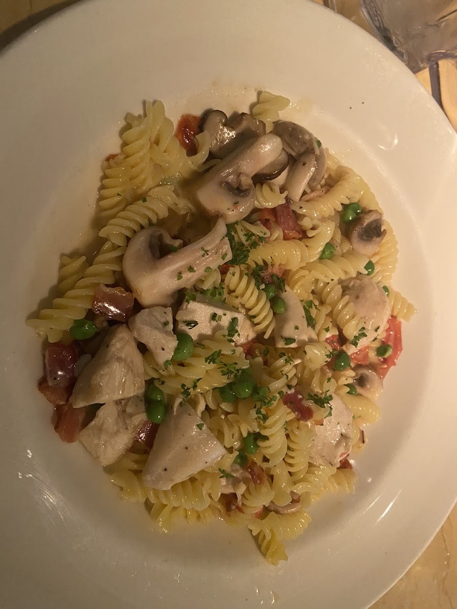 Pasta with chicken & roasted garlic