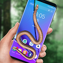 ダウンロード Snake on Screen Live Wallpaper & Launcher をインストールする 最新 APK ダウンローダ