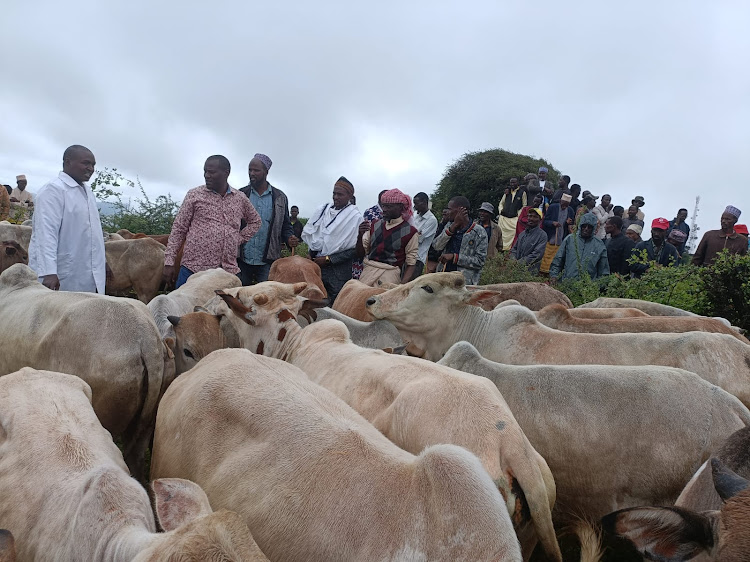 County chief officer livestock and veterinary services Dr Arero Halkano and Butiye ward MCA Diid Omar Apicha presided over the distribution of cows on Saturday May 4, 2024 at Somare.
