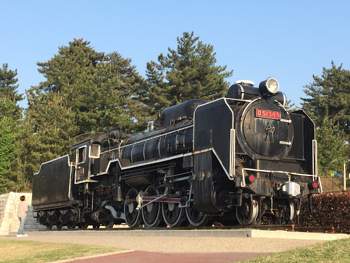 D51303