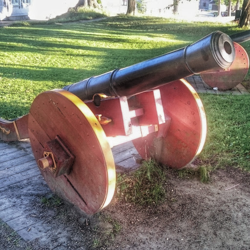Cannon 1