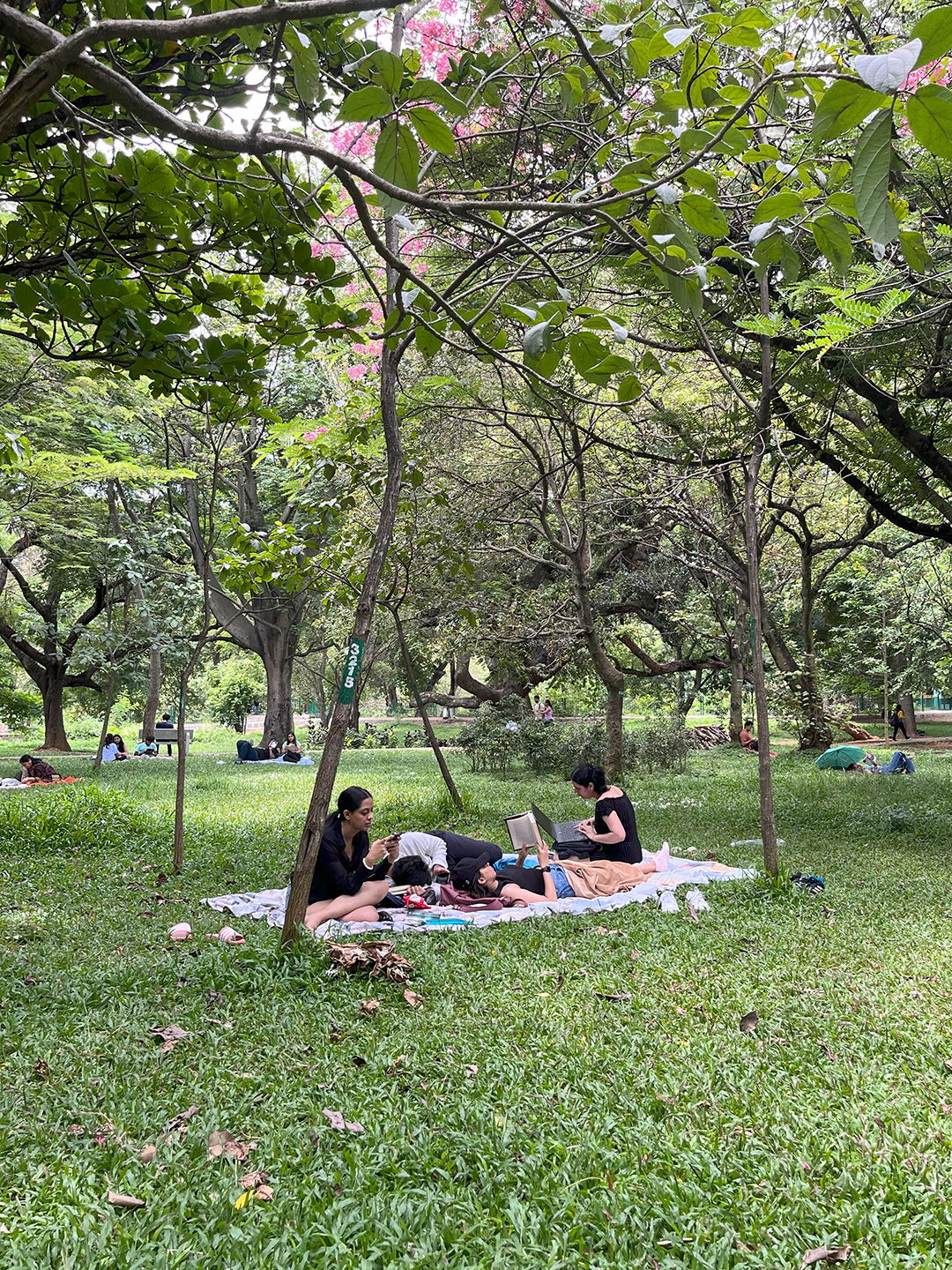 Bengaluru readers struggle to access municipal parks