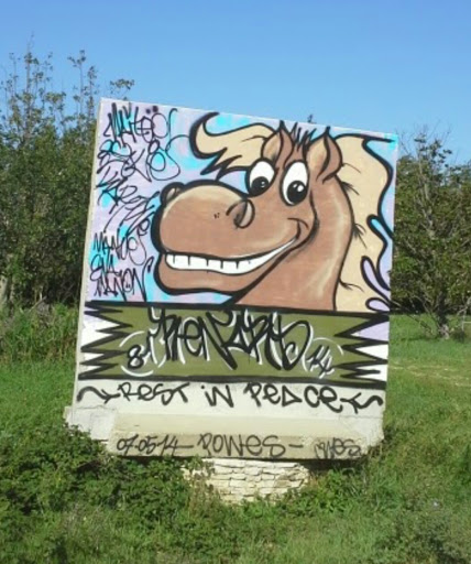The Horse Art