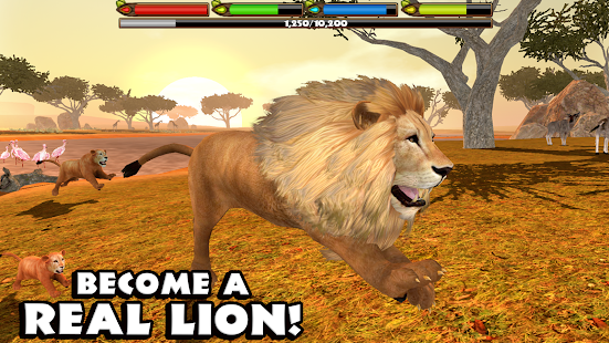   Ultimate Lion Simulator- screenshot thumbnail   