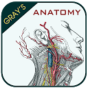 ダウンロード Gray's Anatomy - Anatomy Atlas 2020 をインストールする 最新 APK ダウンローダ