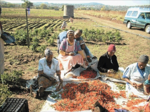 TOUGH LIFE: Women in rural areas need assistance.