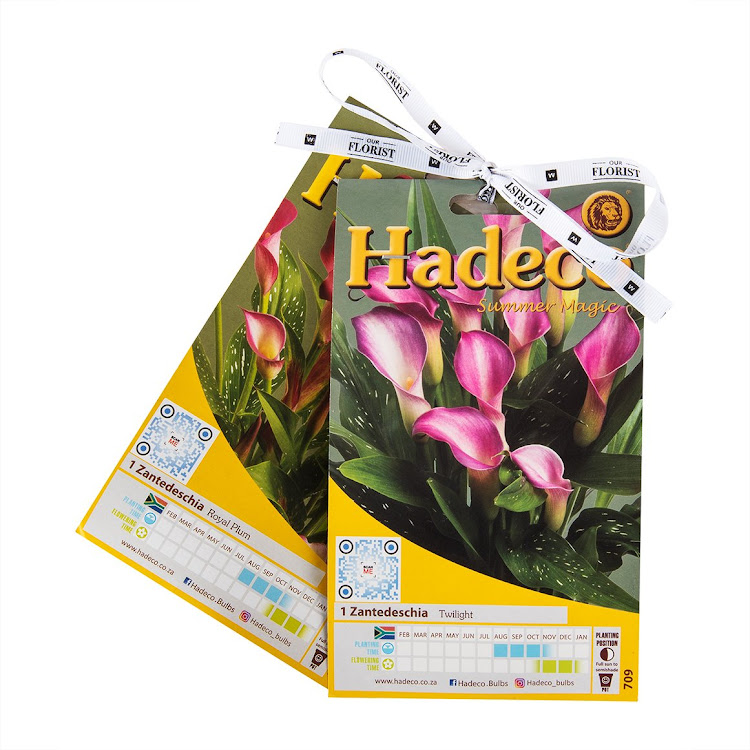 Hadeco Zantedeschia Peach Pearl and Strawberry Blush Bulbs, two pack for R84.99 on special, with buy any two and get 20% off at Woolworths.co.za