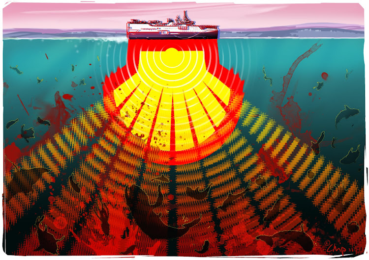 Cape Town cartoonist and illustrator Chip Snaddon is one of many artists who has used the Shell logo to criticise the company for its seismic testing off the Wild Coast.