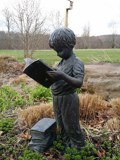 Boy Reading a Book