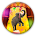 Circus