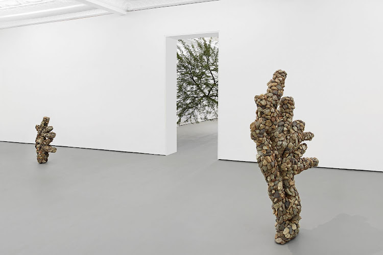 Bronwyn Katz, Maaghout (Stomach wood)