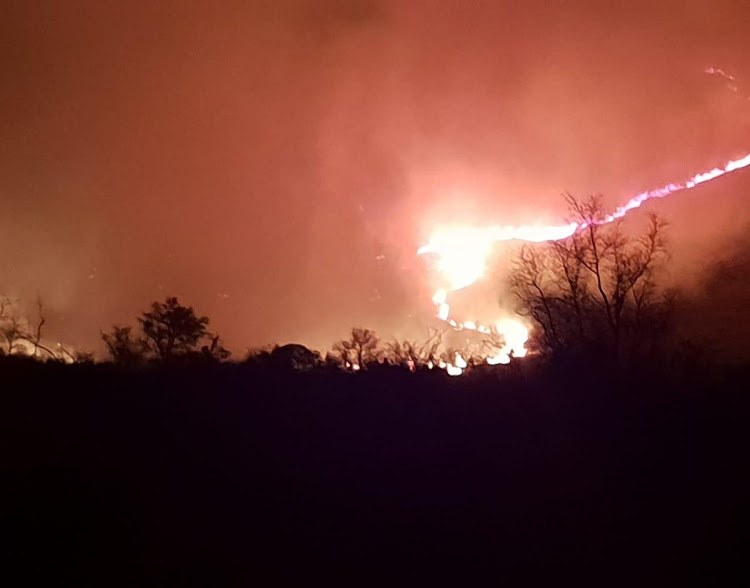 The fire in Pilanesberg Nature Reserve is said to have been likely started by a community member burning some rubble.