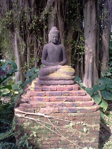 Budha statue 