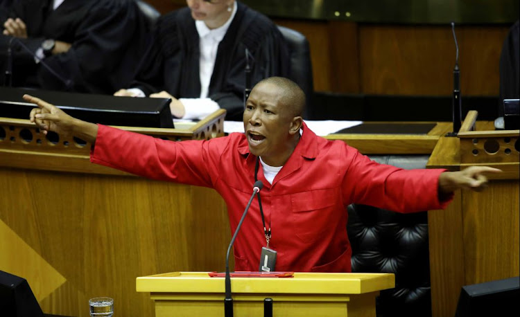 EFF leader Julius Malema is among MPs who weighed in on President Cyril Ramaphosa's Sona address, during the debate on Tuesday.