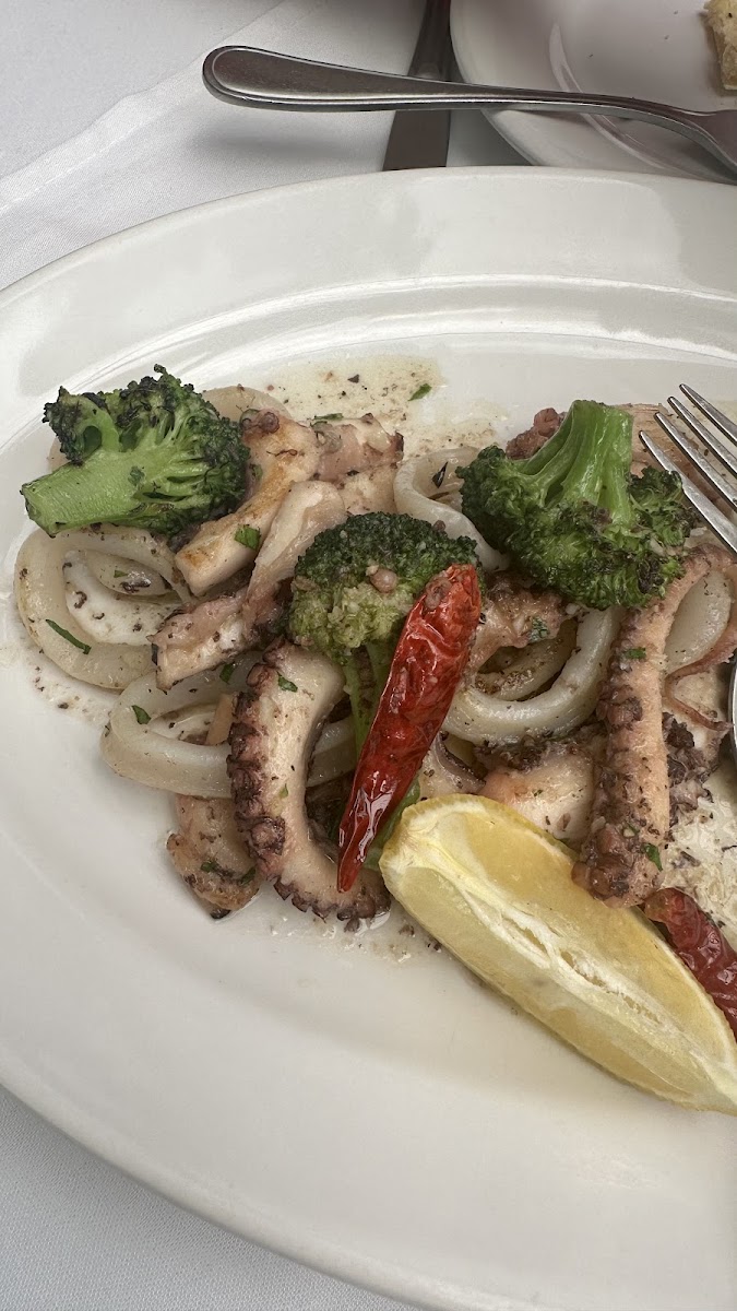 Polpo e calamari al aglio olio peperoncino - Mixture of grilled octopus, squid, and broccoli sautéed with olive oil, garlic, and crushed red pepper.