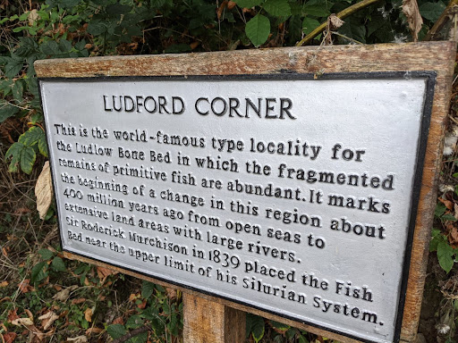 LUDFORD CORNER This is the world-famous type locality for the Ludlow Bone Bed in which the fragmented remains of primitive fish are abundant. It marks the beginning of a change in this region...