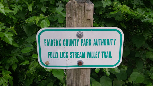 Folly Lick Stream Trail