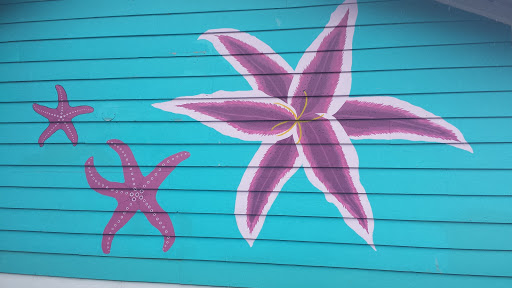 Sooke Starfish Murals