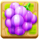 Download Yummy Candy Fruit Juice For PC Windows and Mac 1.0