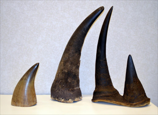 Ten rhino horns have been seized by customs officials from the South African Revenue Services.