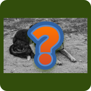 Mystery Squares.apk 2.1.0e