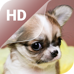 Cute Puppy Live Wallpaper HD Apk