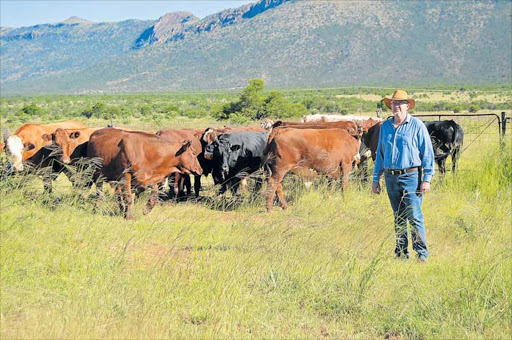 GOING UP: Red Meat Producers Organisation national vice-chairman Dr Pieter Prinsloo, who farms in the Komani (Queenstown) district, says the price of beef has soared by 17% since December and will go up by another 13% by the end of the year Picture: SUPPLIED