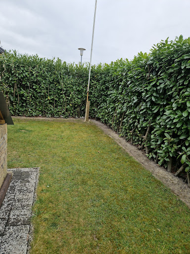 kleiner Garten