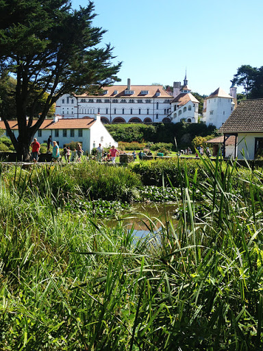 Caldey Village Pond