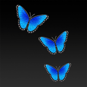 Download DXB Butterfly For PC Windows and Mac