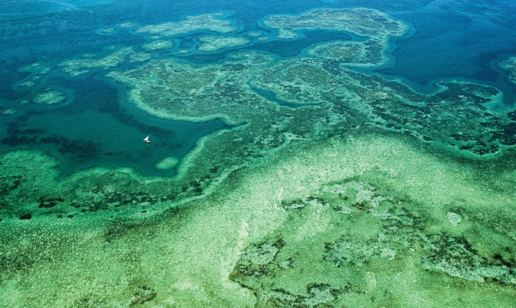 Where humankind intersects with nature: a fishing dhow in the coral gardens of the Quirimbas Archipelago, Mozambique.