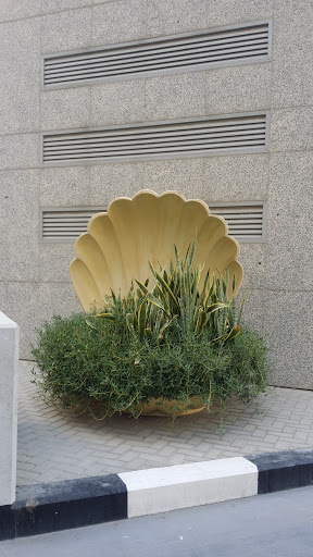 Seashell Of Plants