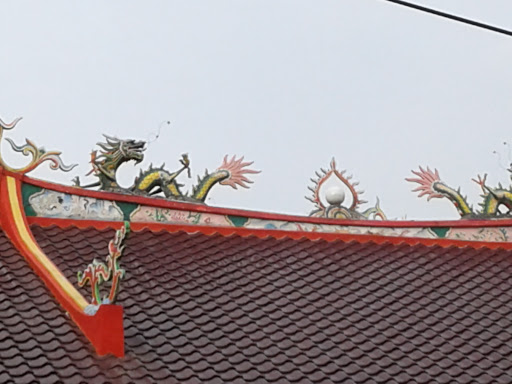 Dragons on the Roof