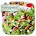 Diet Salad Recipes Guide