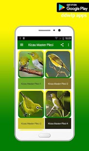 How to mod Kicau Master Pleci Offline 2017 1.0 mod apk for pc