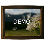 Family slideshow demo Apk