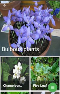 How to download Flower World lastet apk for android