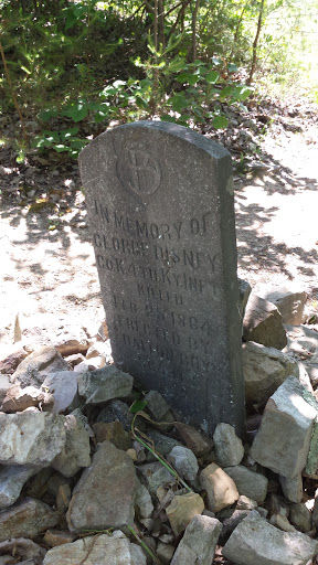 George Disney Actual Grave