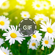 Download Flower Gifs For PC Windows and Mac 1.0
