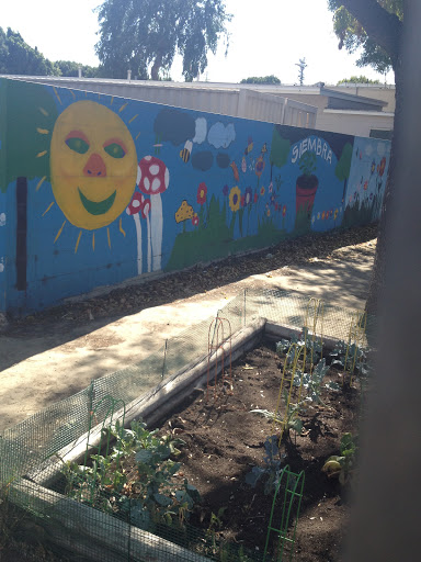 Sunny Day Mural