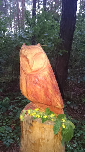 Owl  Statue