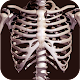 Bones Human 3D (anatomy) for PC-Windows 7,8,10 and Mac 2.0.9