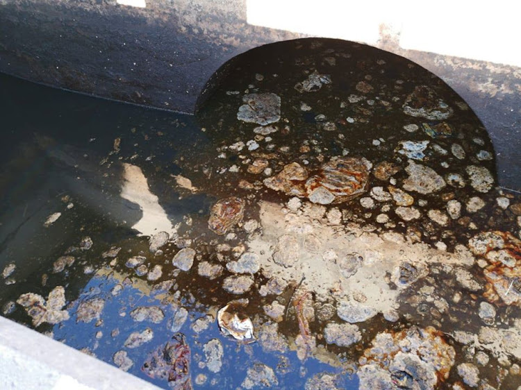 Oil from a stormwater system enters the lagoon at Milnerton Riding Club, according to a residents' association post on December 5 2019.