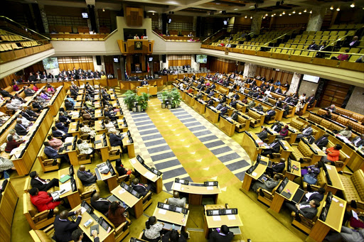 Every MP took an oath to uphold the constitution and to scrutinise the actions of the president in this regard — but on both sides of the aisle political party regulations attempt to force them to instead vote as they are told.