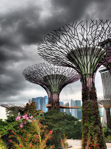 The Wit Ijo of Garden By The Bay