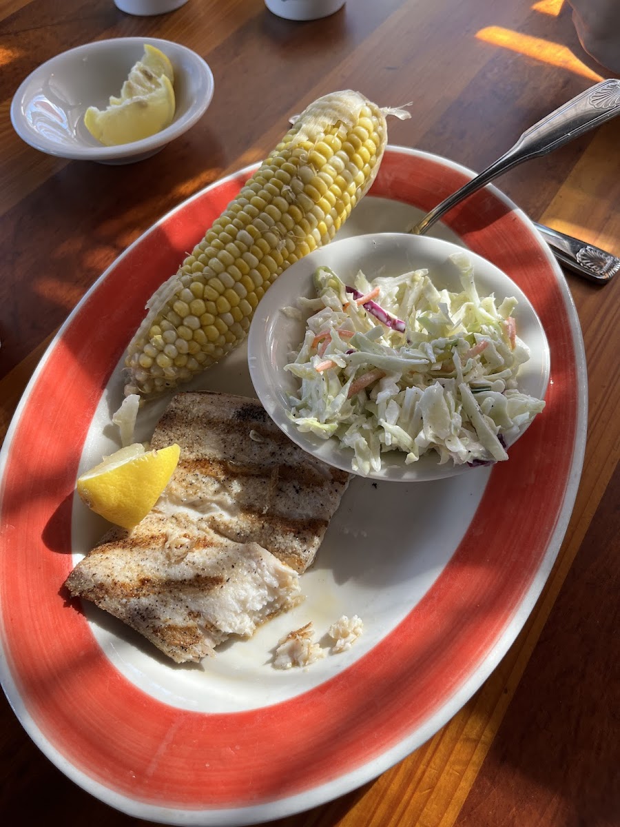 Grilled mahi mahi with corn on the cob and coleslaw lunch special