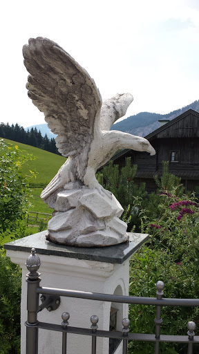 Weißer Steinadler