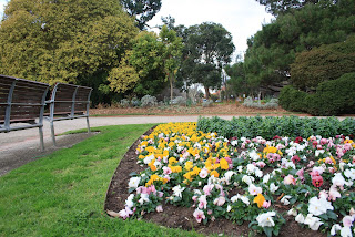 steel garden edging